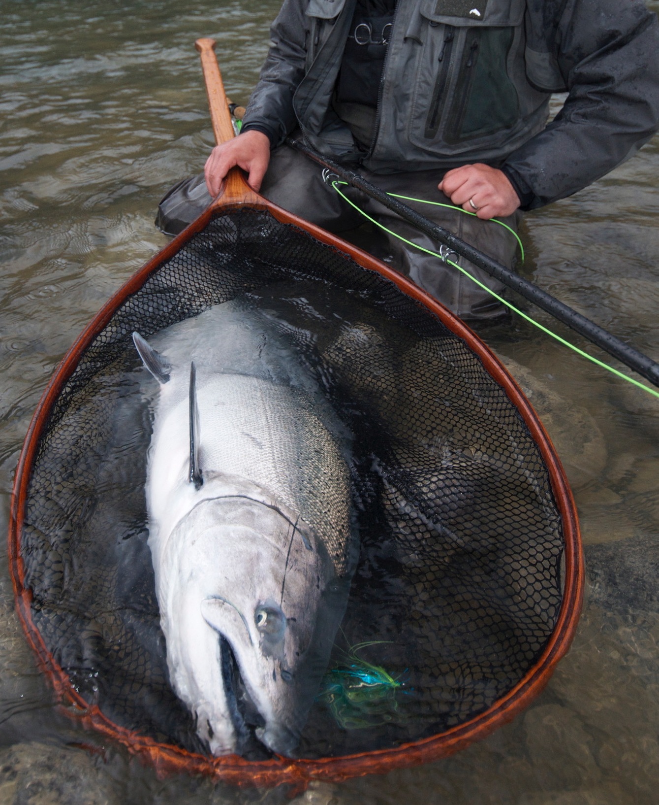 Lillooet River Spey for Anadromous Fish <P>
